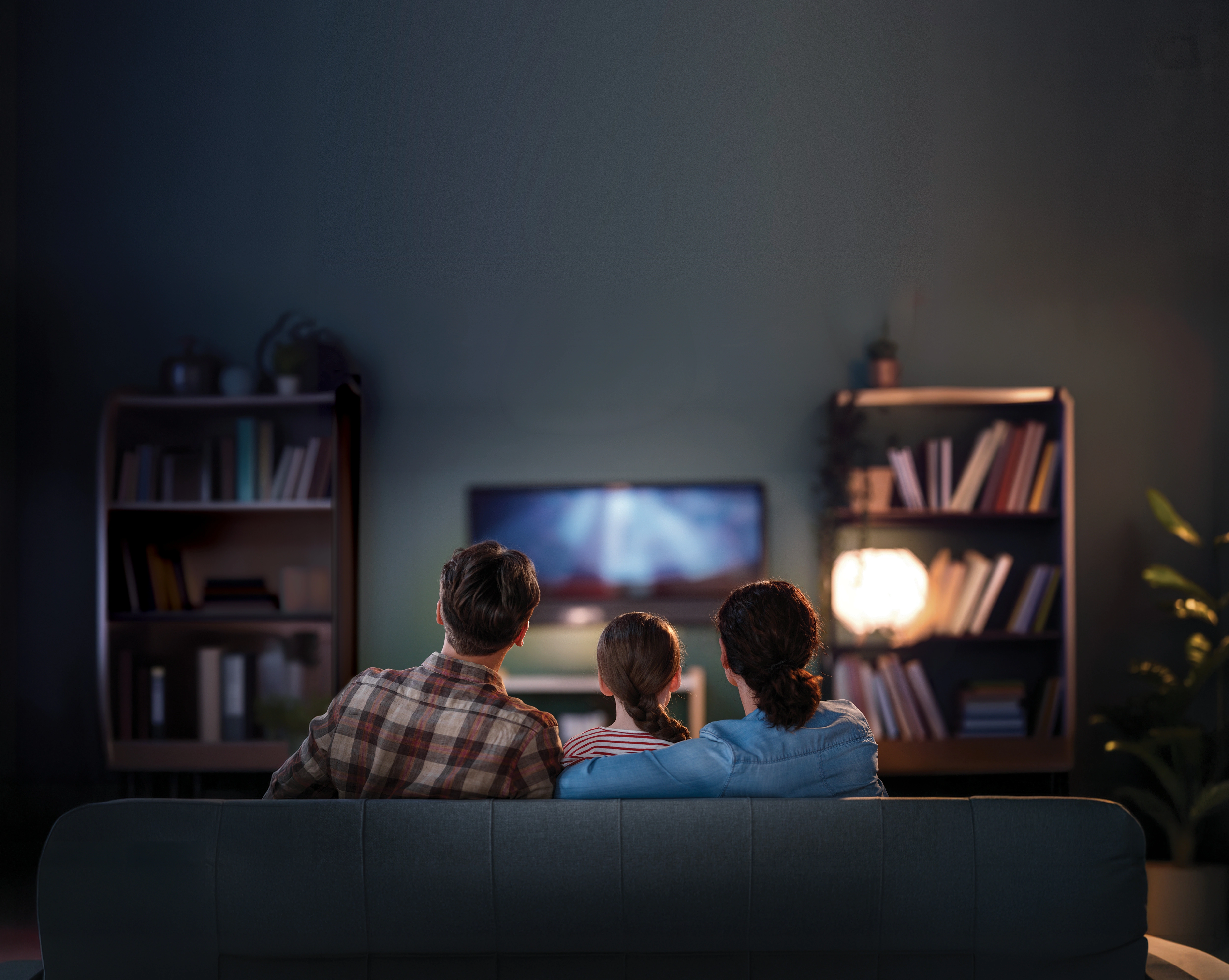 Living room with a television and a low media console